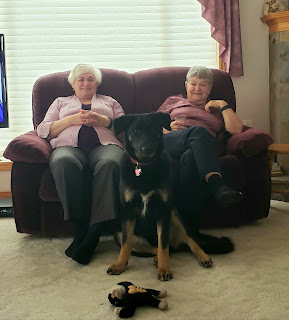 Image of two older, grey-haired women (Great Auntie Cathy & Grandma Hanna) seated on a couch. Sitting on the floor between them is Monty looking smug & content.