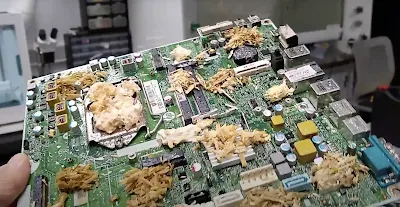 Mushroom Computing: Future and Feasibility