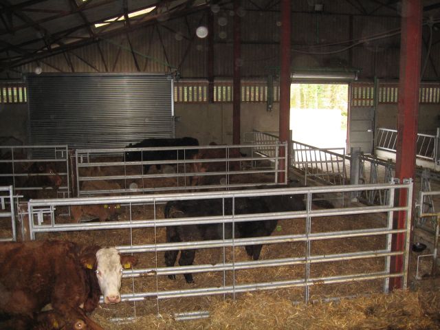 LCI Engineering Limited T/A Bo Steel: Straw bed shed fit 
