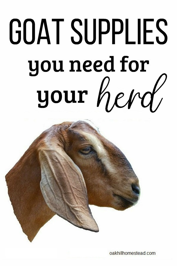 Goat Supplies You Need to Have on Hand (What do Goats Need?) - Oak Hill  Homestead