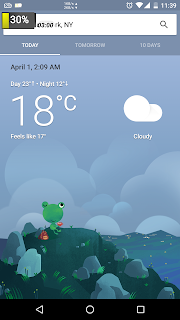 Google-Weather-frog