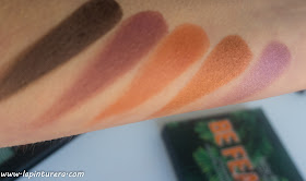 swatches 02