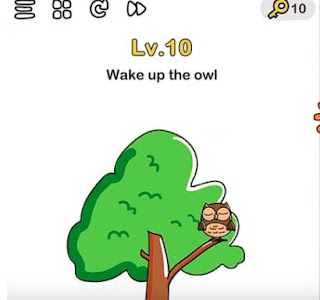 Cara Membangunkan Burung Hantu di Game Brain Out Level 10