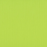 http://www.scrappasja.pl/p17040,2928-068-papier-jednokolorowy-dwustronny-florence-30-5x30-5-cm-lime.html