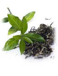 The Nutritional Benefits of Green Tea - Learn the Full Benefits of Green Tea