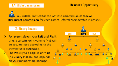 Methods of profit and making commissions from the income of the binary tree