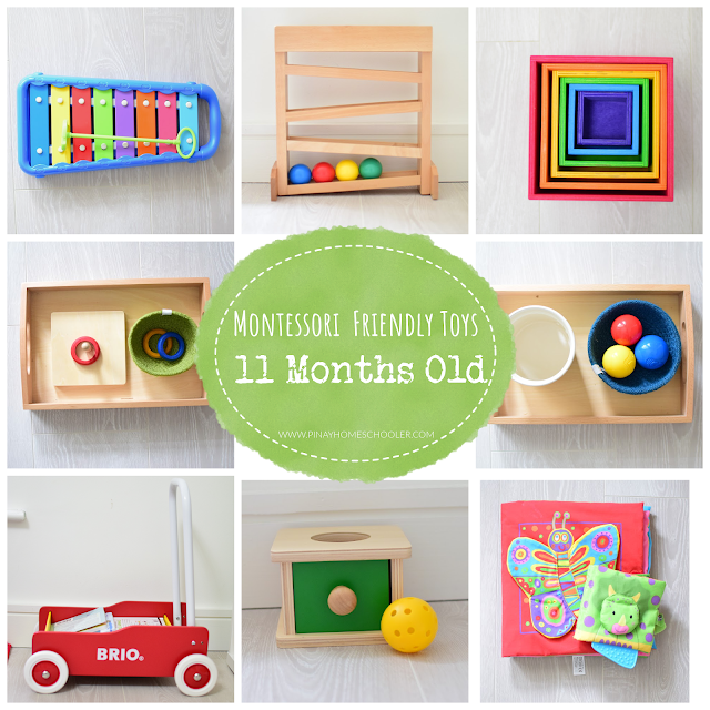 Montessori Friendly Toys for 11 Months Old