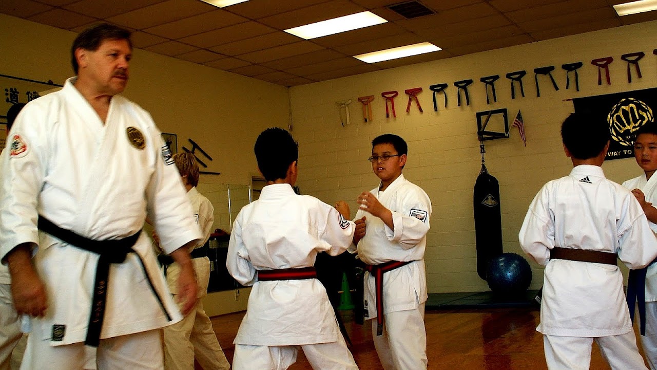 Shit?-ry? - Hayashi Ha Karate
