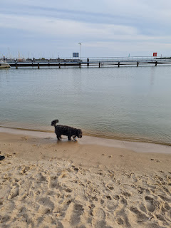 Mit Hund am Strand Stavoren