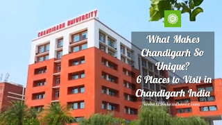 What Makes Chandigarh So Unique, 6 Places to Visit in Chandigarh India