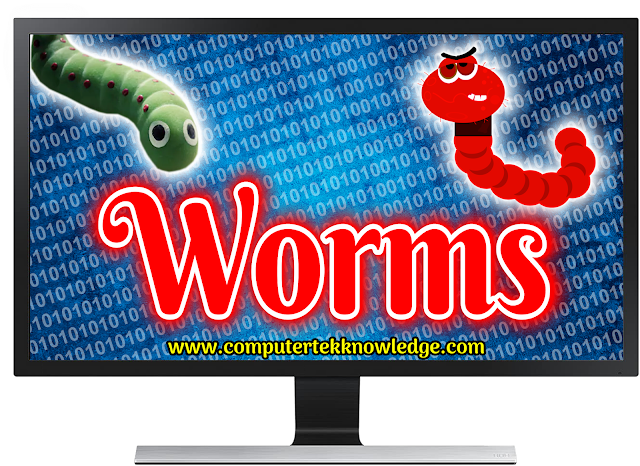 what-is-worms-in-hindi
