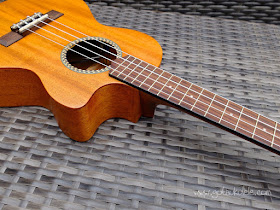 Cordoba 20TM-CE Tenor Ukulele cutaway