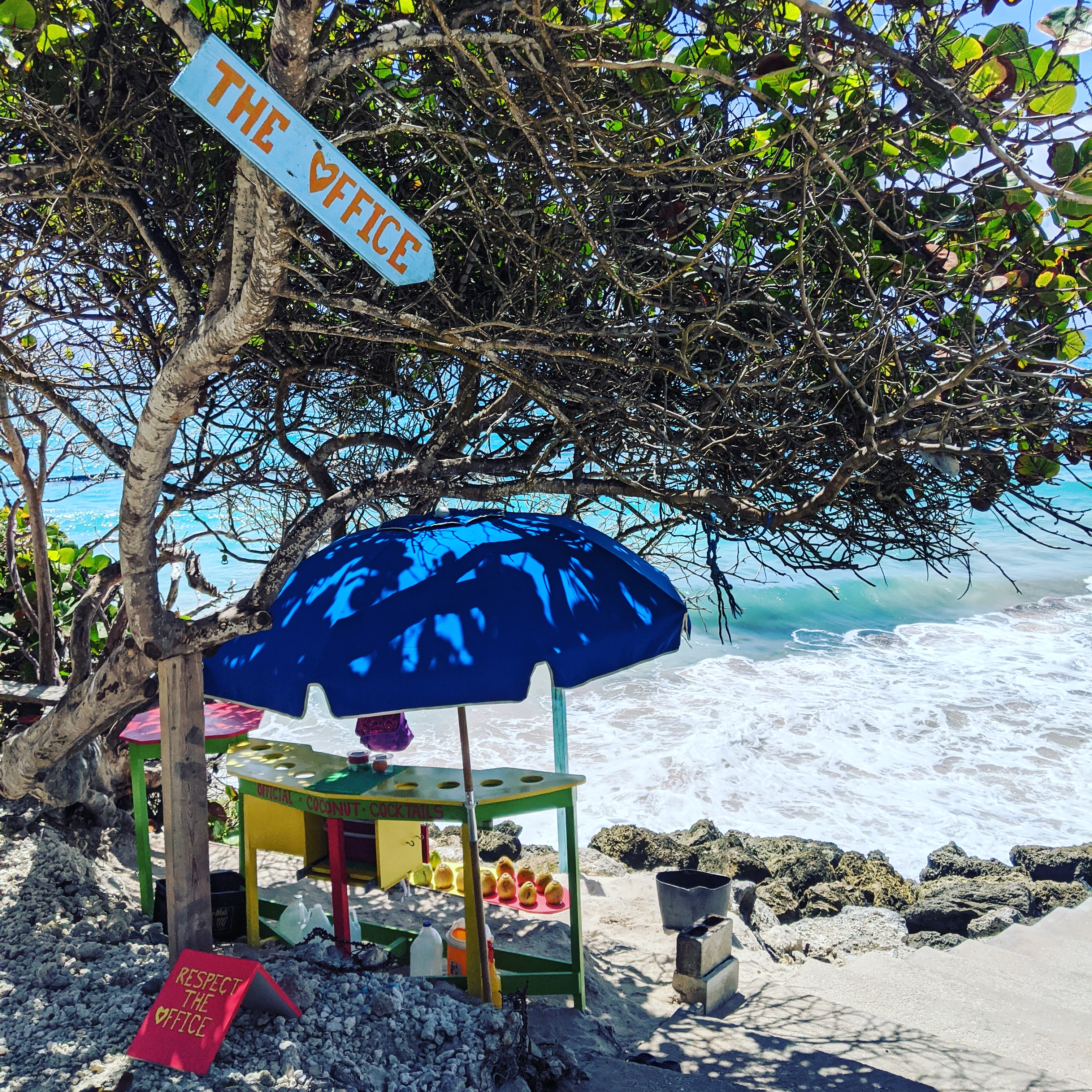 A blue beach umbrella on the edge of Crane Beach with a coconut stall beneath it. Crane beach is one of the most beautiful beaches in barbados