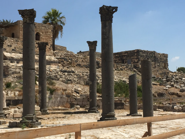 رؤوس الأغنام والسياحة المحلية المستدامة في الأردن