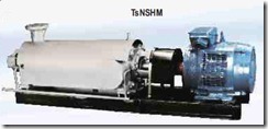 TsNSHM