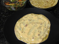 Vegetable Chapati roll 15