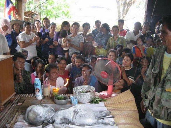 Mahluk Aneh Ditemukan Di Pedalaman Hutan Thailand [ www.BlogApaAja.com ]