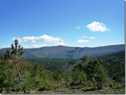 P1000975
