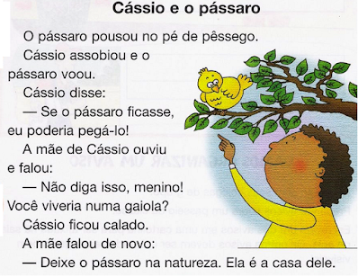 Texto CÁSSIO E O PÁSSARO png