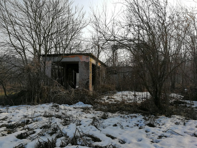 La colonia Elioterapica di Mondovì Beila gil balilla gioventù littorio oreste martini