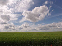 best windows xp screen wallpaper