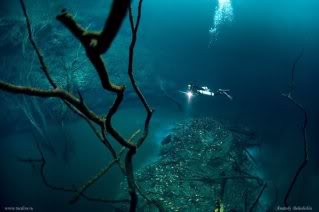 fenomena alam sungai bawah laut