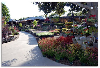 Rogers Gardens Landscape