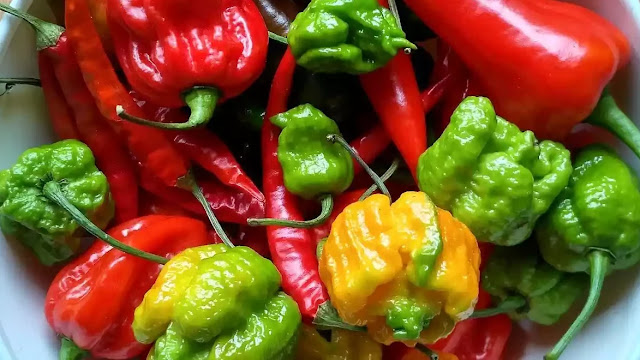 eating hot pepper help me lose weight