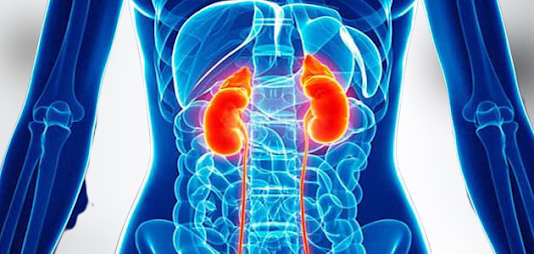 Best Kidney Hospital in Dhaka and contact Phone Number Address