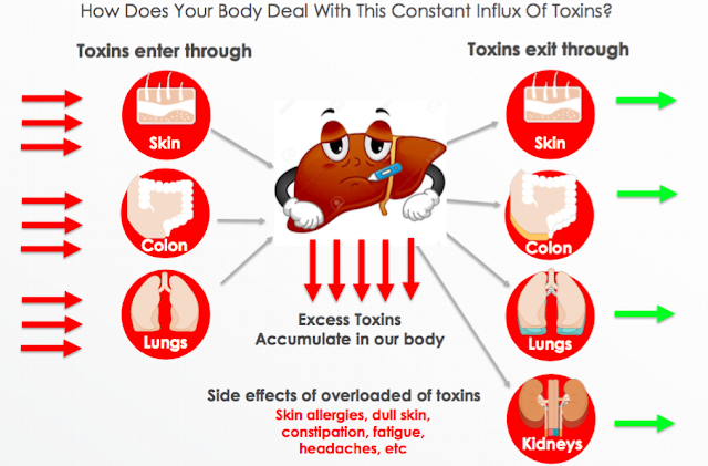 Kesan buruk toksin terhadap badan