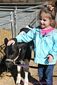 Fall Pumpkin Patch Pictures, Serenity Now blog