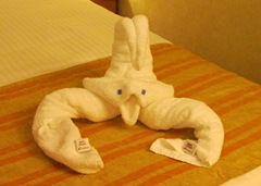 Our Last Evening Critter