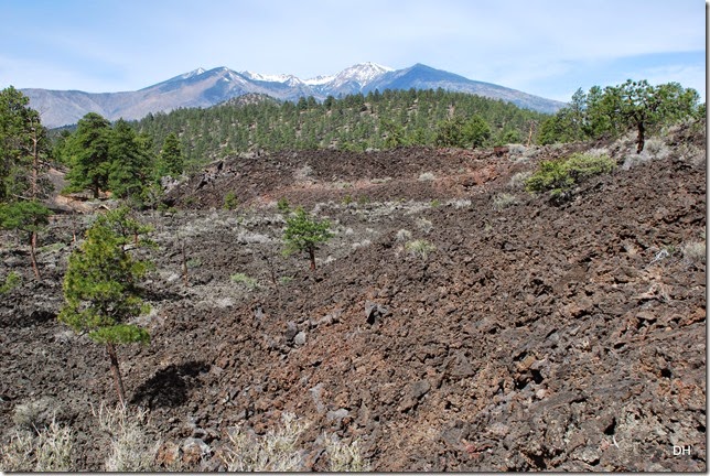 05-06-14 C Sunset Crater NM (57)