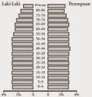   Komposisi Penduduk Indonesia (Materi Lengkap)