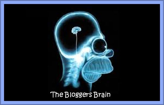 The Bloggers Brain