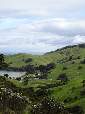 Lyttleton New Zealand