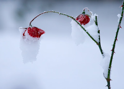 Tips for photography of nature and hills, frozen photography, frozen images photography, frozen beauty photography