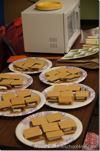 smores