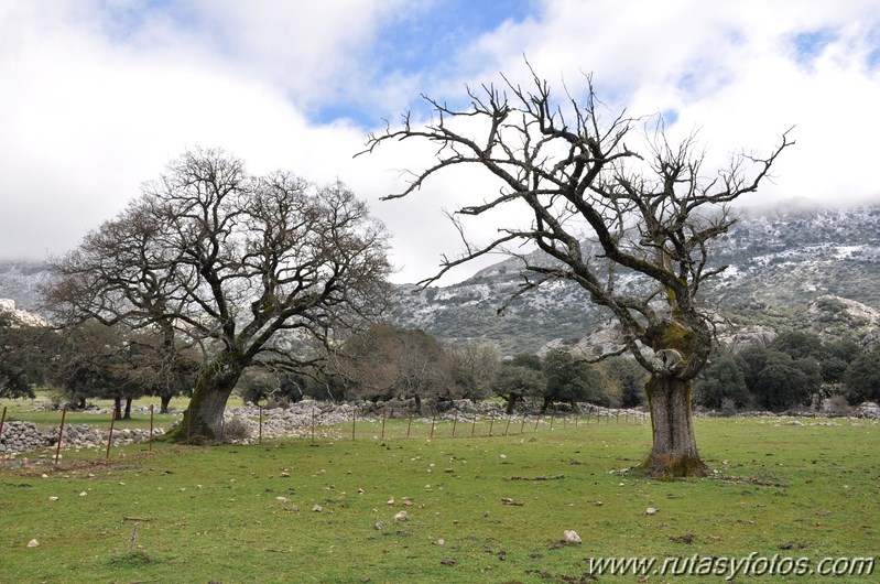 Llanos de Líbar