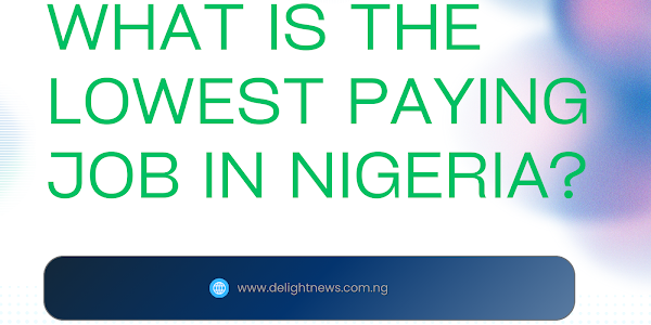 What is the Lowest Paying Job in Nigeria