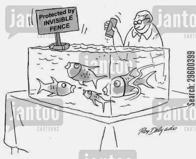 Fish Owner Cartoons