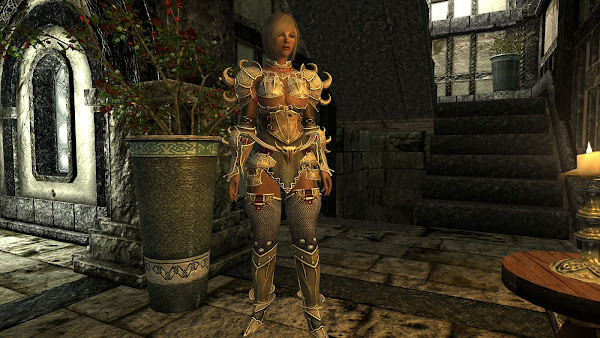 Custom armor for The Elder Scrolls V Skyrim