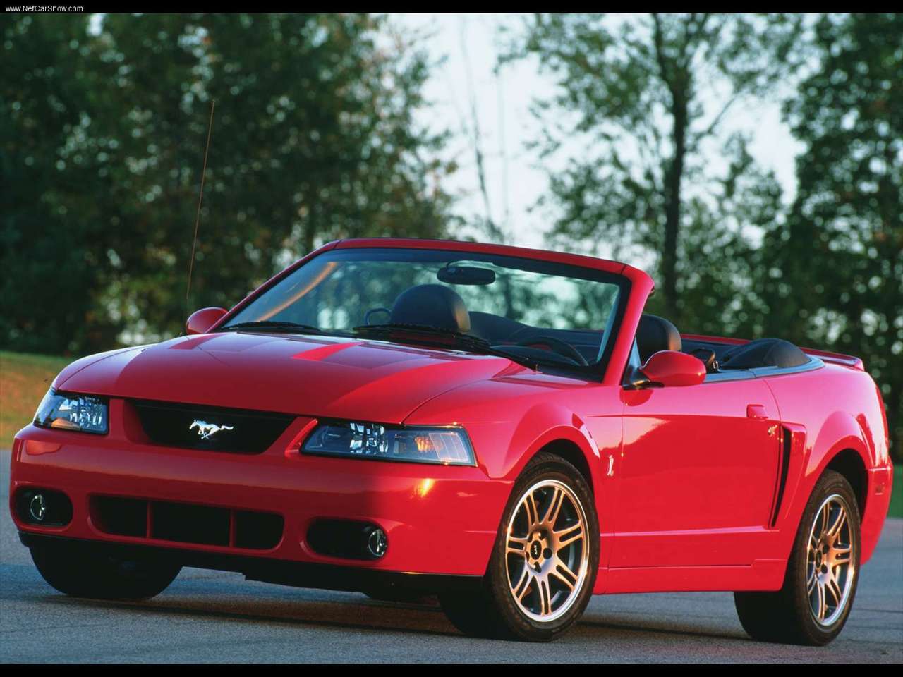 Ford - Populaire français d'automobiles: 2003 Ford Mustang SVT Cobra ...