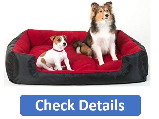 best dog bed online, online dog bed amazon,online dog bed flipkart