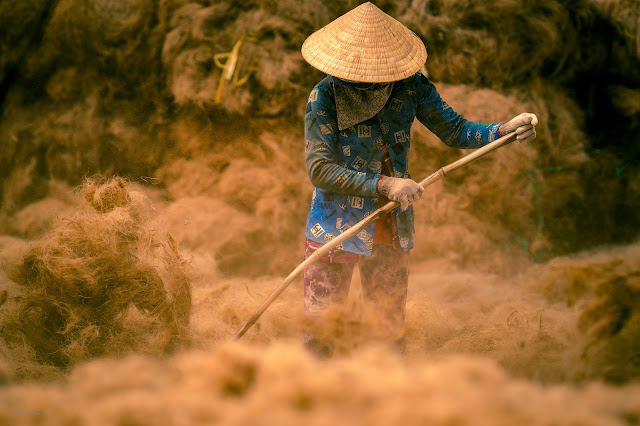 Ghé thăm làng làm chỉ sơ dừa ở Bến Tre