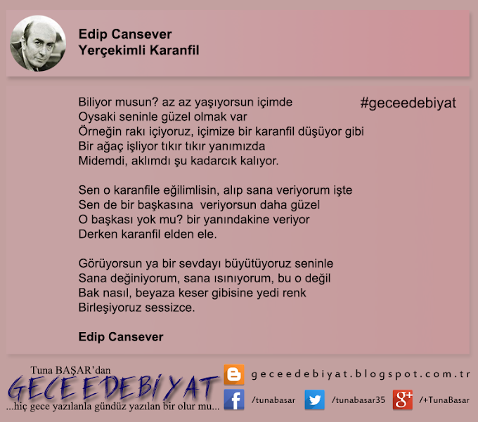 Günün Şiiri -17- / Yerçekimli Karanfil - Edip Cansever