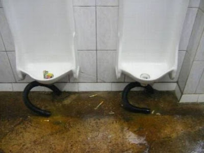 unusual toilets