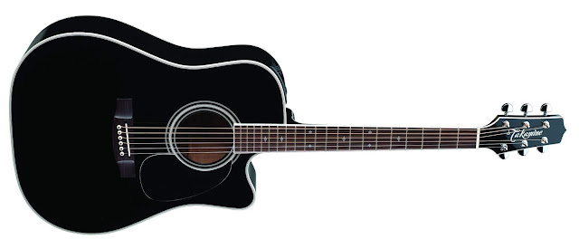 Review, Spesifikasi dan Harga Gitar Takamine EF341SC