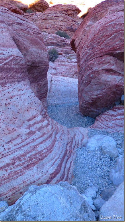 Candy cane and polka dot hike again_098