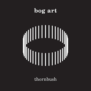 Bog art - (2020_ Thornbush (album front)